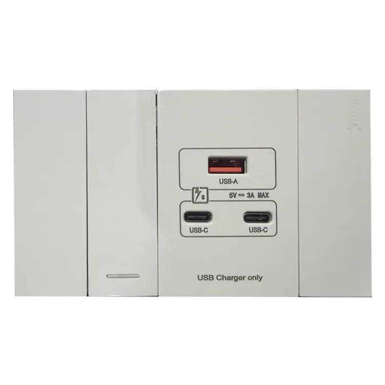 1-Gang Switch USB-A eta USB-C atakekin